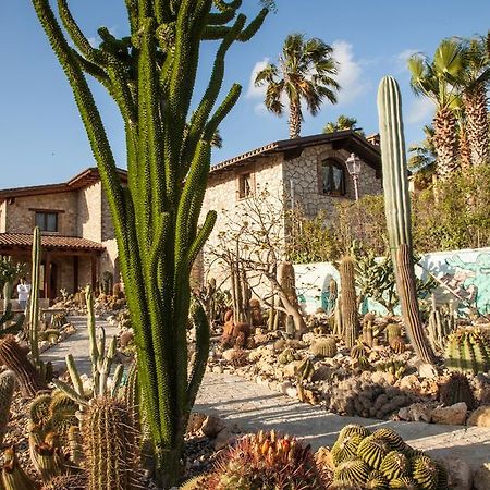 Garden Cactus Guest House Villaggio Mose  Exterior photo