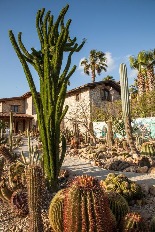 Garden Cactus Guest House Villaggio Mose  Exterior photo